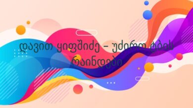დავით ყიფშიძე – უძირო ტბის რაინდები